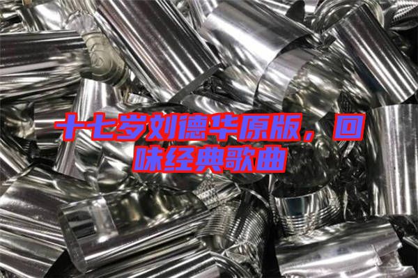 十七歲劉德華原版，回味經(jīng)典歌曲