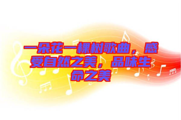 一朵花一棵樹歌曲，感受自然之美，品味生命之美