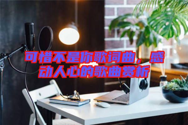 可惜不是你歌詞曲，感動(dòng)人心的歌曲賞析