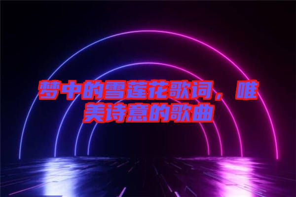 夢中的雪蓮花歌詞，唯美詩意的歌曲