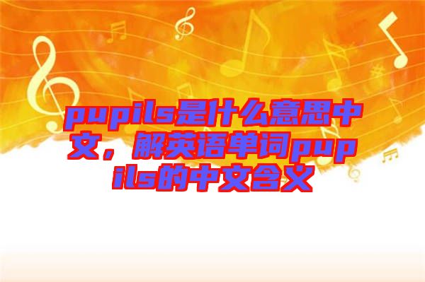 pupils是什么意思中文，解英語(yǔ)單詞pupils的中文含義