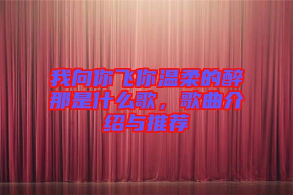 我向你飛你溫柔的醉那是什么歌，歌曲介紹與推薦