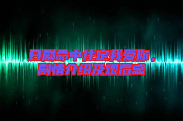 日劇命中注定我愛你，劇情介紹及觀后感