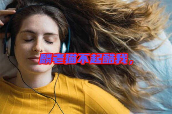 麟老貓不起酷我，