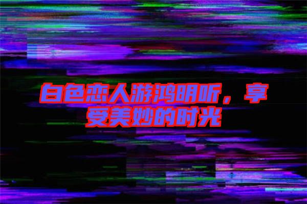 白色戀人游鴻明聽，享受美妙的時光