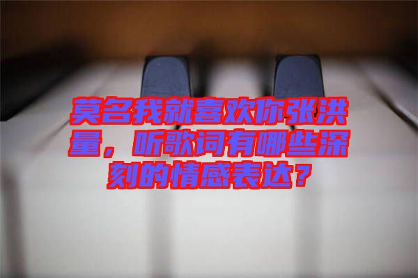 莫名我就喜歡你張洪量，聽歌詞有哪些深刻的情感表達(dá)？