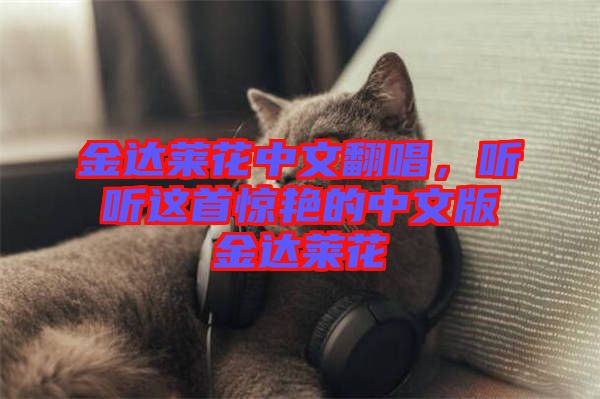 金達(dá)萊花中文翻唱，聽聽這首驚艷的中文版金達(dá)萊花