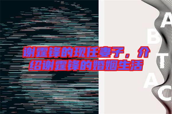 謝霆鋒的現(xiàn)任妻子，介紹謝霆鋒的婚姻生活