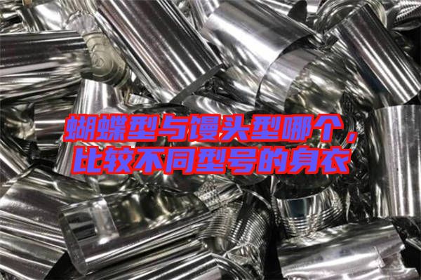 蝴蝶型與饅頭型哪個，比較不同型號的身衣