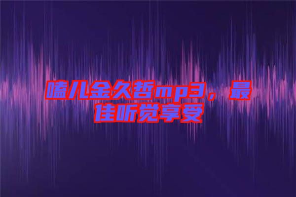 嗑兒金久哲mp3，最佳聽覺享受
