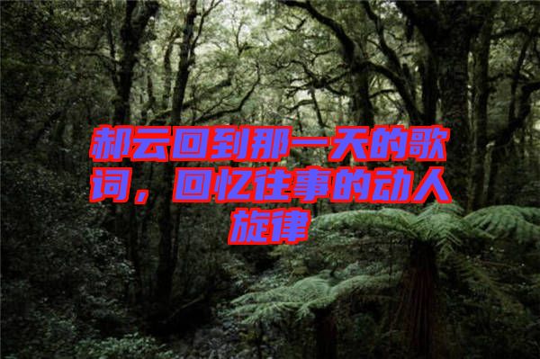 郝云回到那一天的歌詞，回憶往事的動人旋律