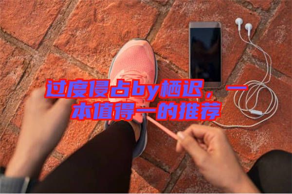 過度侵占by棲遲，一本值得一的推薦