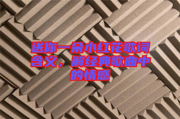 送你一朵小紅花歌詞含義，解經(jīng)典歌曲中的情感