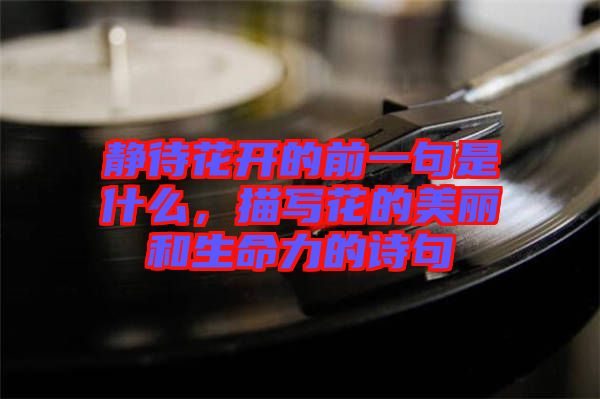 靜待花開(kāi)的前一句是什么，描寫花的美麗和生命力的詩(shī)句