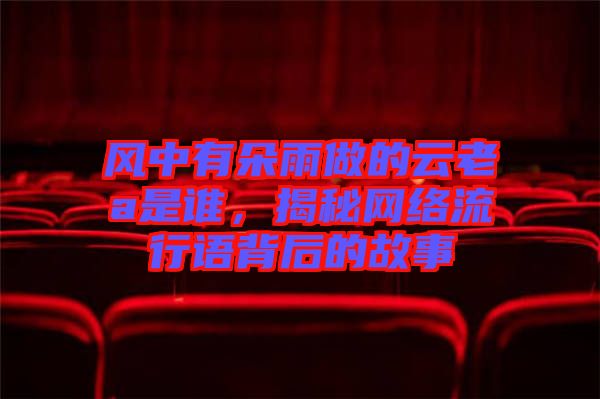 風中有朵雨做的云老a是誰，揭秘網(wǎng)絡流行語背后的故事