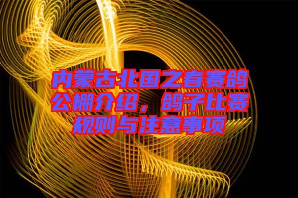 內(nèi)蒙古北國之春賽鴿公棚介紹，鴿子比賽規(guī)則與注意事項(xiàng)