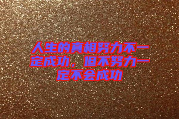 人生的真相努力不一定成功，但不努力一定不會(huì)成功