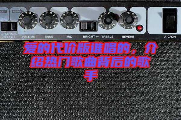 愛的代價版誰唱的，介紹熱門歌曲背后的歌手