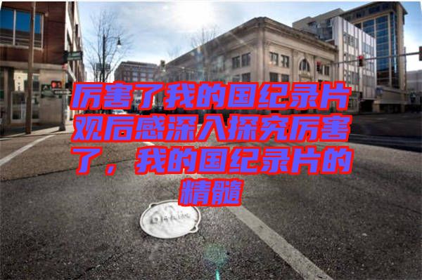 厲害了我的國紀(jì)錄片觀后感深入探究厲害了，我的國紀(jì)錄片的精髓