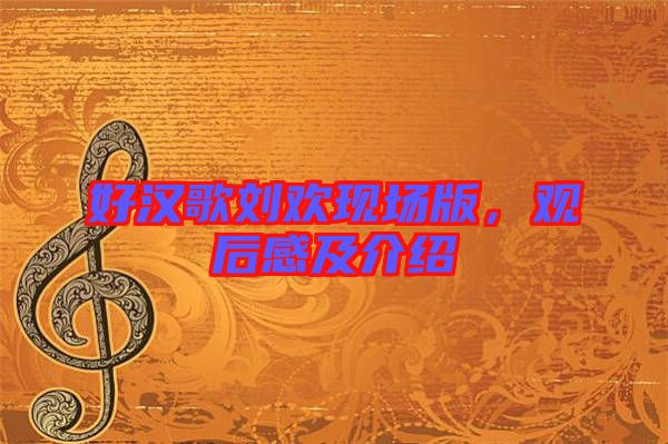 好漢歌劉歡現(xiàn)場(chǎng)版，觀后感及介紹