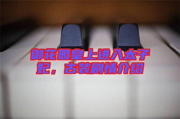 御花園皇上進(jìn)入太子妃，古裝劇情介紹