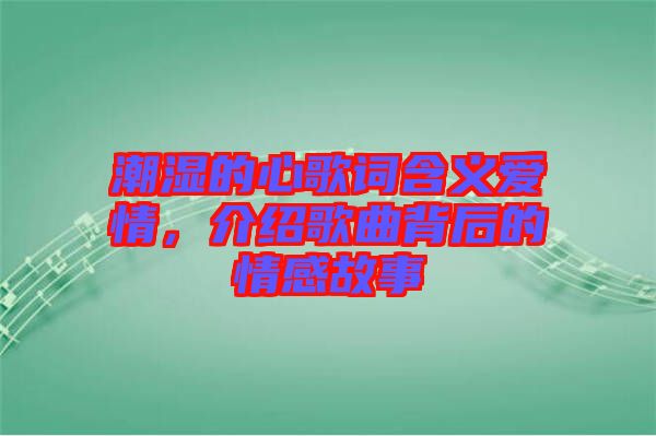 潮濕的心歌詞含義愛情，介紹歌曲背后的情感故事
