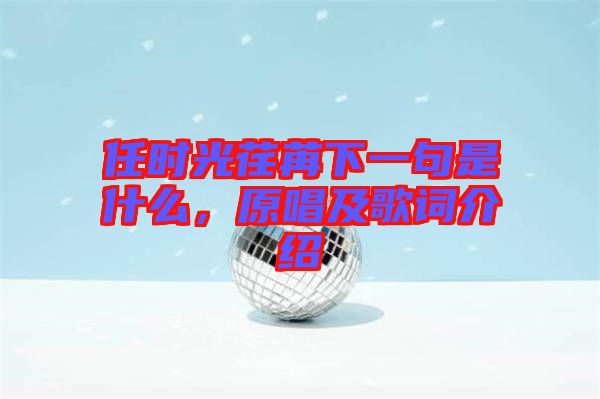 任時(shí)光荏苒下一句是什么，原唱及歌詞介紹