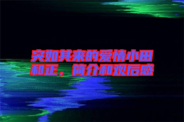 突如其來(lái)的愛(ài)情小田和正，簡(jiǎn)介和觀后感