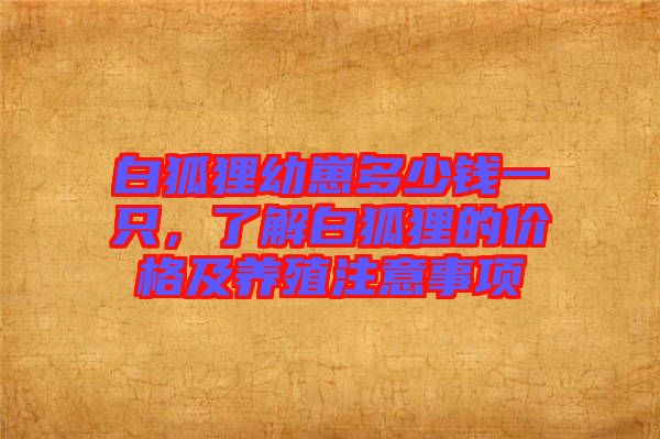 白狐貍幼崽多少錢一只，了解白狐貍的價格及養(yǎng)殖注意事項