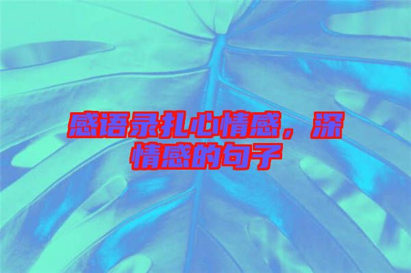 感語錄扎心情感，深情感的句子