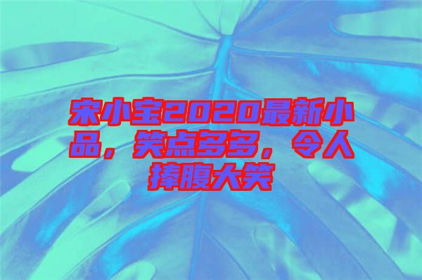 宋小寶2020最新小品，笑點多多，令人捧腹大笑
