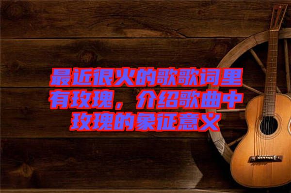 最近很火的歌歌詞里有玫瑰，介紹歌曲中玫瑰的象征意義