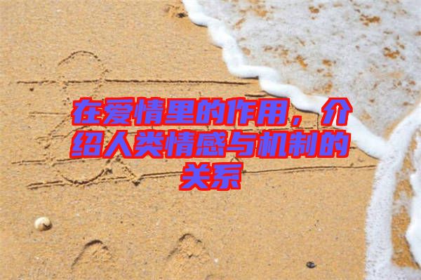 在愛情里的作用，介紹人類情感與機制的關(guān)系