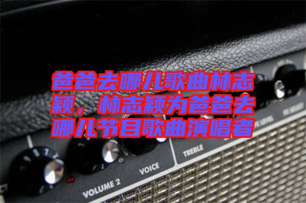 爸爸去哪兒歌曲林志穎，林志穎為爸爸去哪兒節(jié)目歌曲演唱者