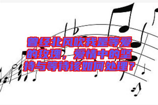 曾經(jīng)北風(fēng)吹我是等愛的玫瑰，愛情中的堅(jiān)持與等待該如何處理？