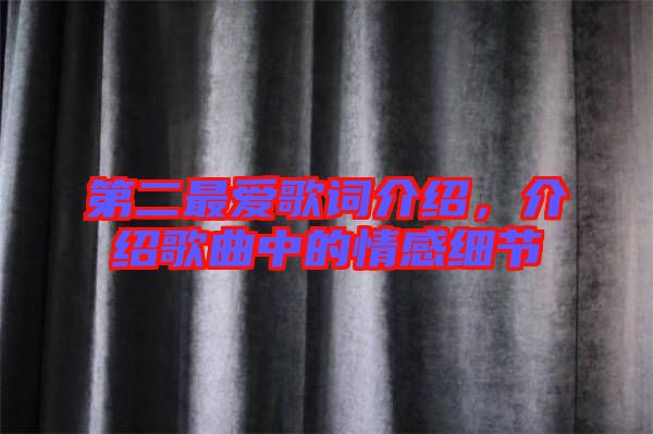 第二最愛歌詞介紹，介紹歌曲中的情感細(xì)節(jié)