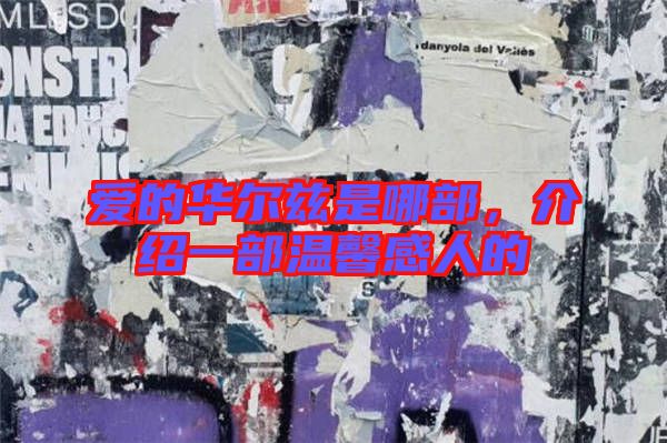 愛的華爾茲是哪部，介紹一部溫馨感人的