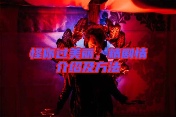 怪你過美麗，精劇情介紹及方法