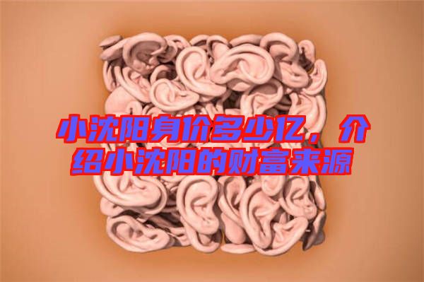 小沈陽身價多少億，介紹小沈陽的財富來源