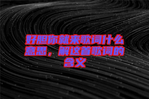好膽你就來歌詞什么意思，解這首歌詞的含義