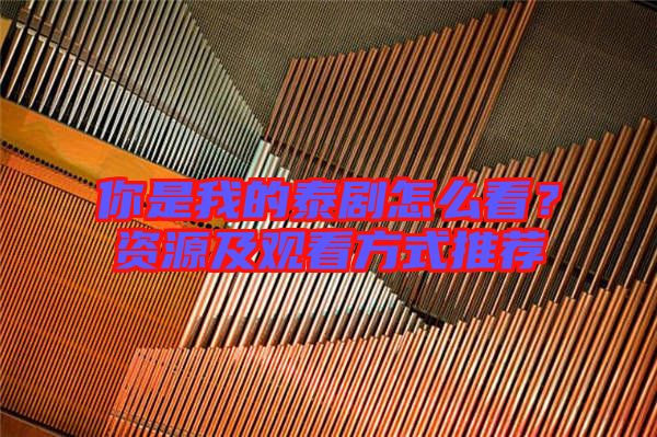 你是我的泰劇怎么看？資源及觀看方式推薦