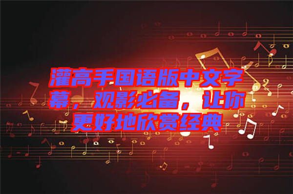 灌高手國語版中文字幕，觀影必備，讓你更好地欣賞經(jīng)典