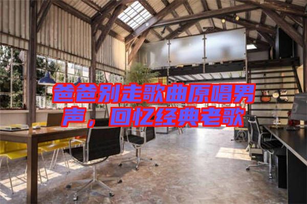 爸爸別走歌曲原唱男聲，回憶經典老歌