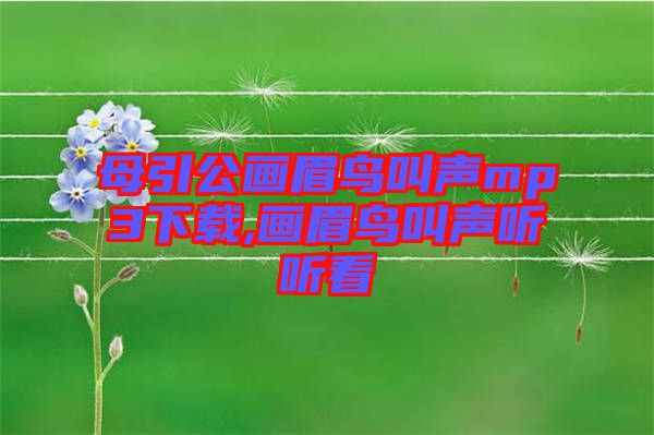 母引公畫眉鳥(niǎo)叫聲mp3下載,畫眉鳥(niǎo)叫聲聽(tīng)聽(tīng)看