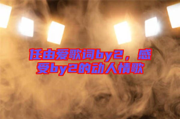 任由愛(ài)歌詞by2，感受by2的動(dòng)人情歌