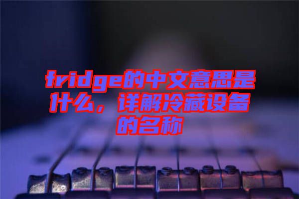 fridge的中文意思是什么，詳解冷藏設備的名稱
