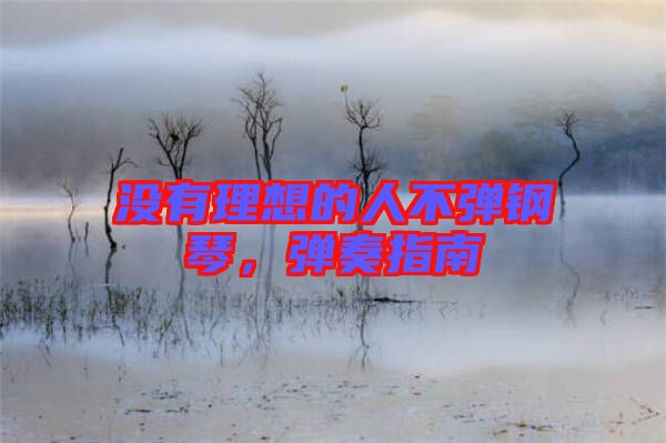 沒有理想的人不彈鋼琴，彈奏指南