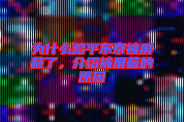 為什么踏平東京被屏蔽了，介紹被屏蔽的原因