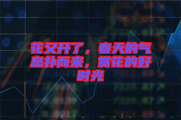 花又開了，春天的氣息撲而來，賞花的好時(shí)光