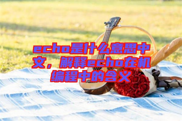 echo是什么意思中文，解釋echo在機(jī)編程中的含義